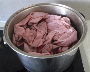 Dyeing with hibiscus flowers Claire Passmore